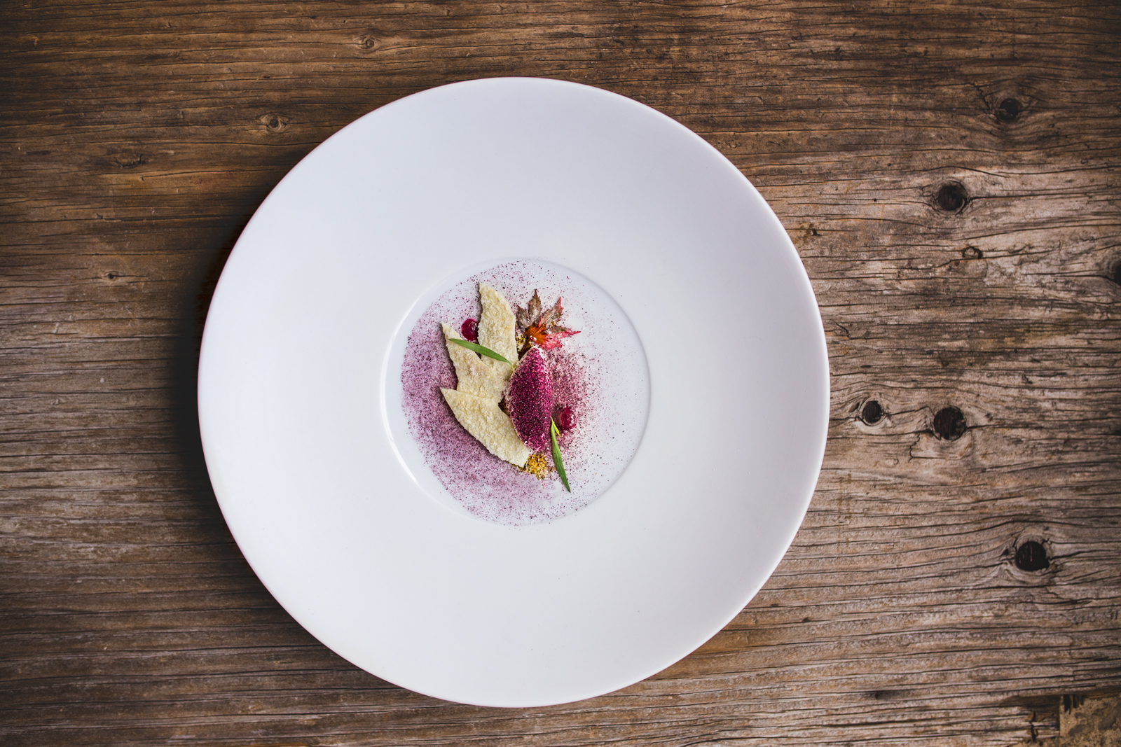 hering-platzteller hering-platzteller